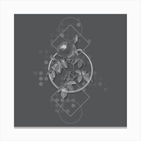 Vintage Provence Rose Bloom Botanical with Line Motif and Dot Pattern in Ghost Gray n.0293 Canvas Print