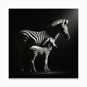 Zebra And Foal Canvas Print