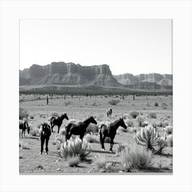 Horses In The Desert 1 Canvas Print