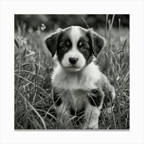 Black And White Puppy 3 Canvas Print