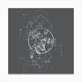 Vintage Apple Rose Botanical with Line Motif and Dot Pattern in Ghost Gray n.0094 Canvas Print