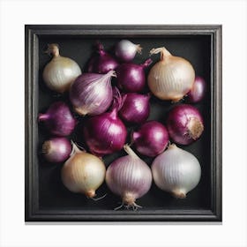 Onion Framed In A Black Frame Canvas Print