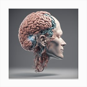 Human Head With Brain Canvas Print