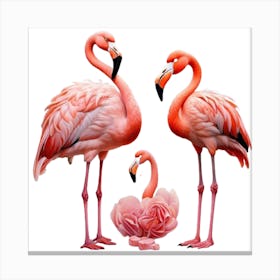 Flamingos Canvas Print