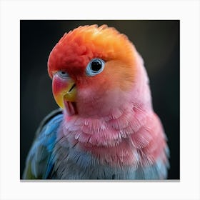 Lovable Parrot Canvas Print
