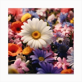 Colorful Flowers Canvas Print