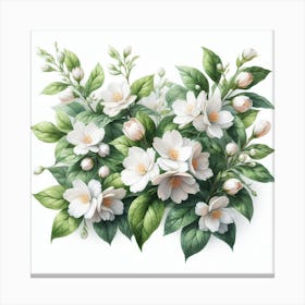 Flowers of Jasmine 4 Canvas Print