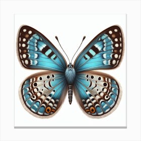 Butterfly of Neolycaena argali 3 Canvas Print