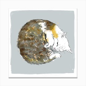 Cat Sleeping Square Canvas Print
