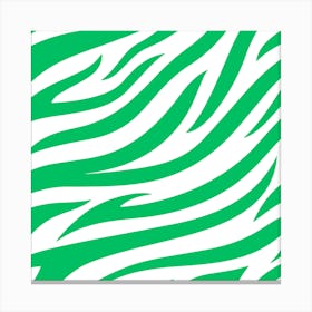 Op Art Zebra in Green and White Canvas Print