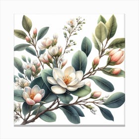 Flowers of Ficus 1 Canvas Print