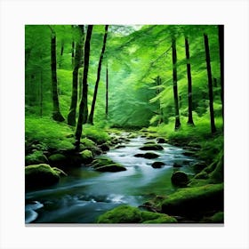 River In The Forest 84 Canvas Print