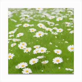 Grass With White Daisies Against A White Canvas Print