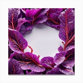 Purple Cabbage Leaves On White Background Canvas Print