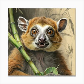 Lemur 8 Canvas Print