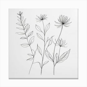 Line Drawing Of Flowers 2 Canvas Print