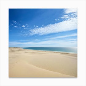 Sand Dunes On The Beach 1 Canvas Print