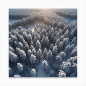 Winter Forest With Visible Horizon And Stars From Above Drone View Perfect Composition Beautiful (8) Canvas Print