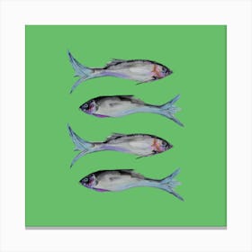 Four Green Fish Canvas Print