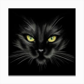 Black Cat Canvas Print