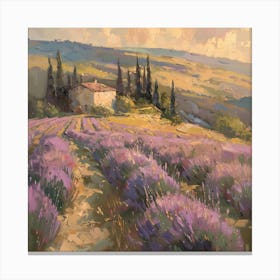 Lavender Field 6 Canvas Print