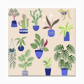 Potted House Plants Pink Canvas Print