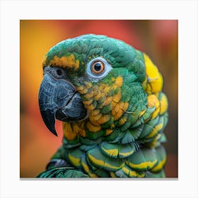 Parrot 17 Canvas Print