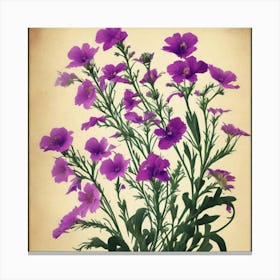 Flax3 Floral Botanical Vintage Poster Flower Art Print Purple Flowers Canvas Print