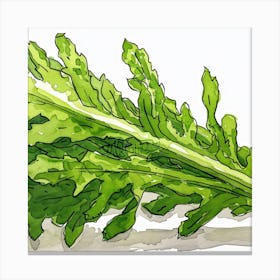 Kale Watercolor Canvas Print