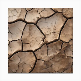 Dry Cracked Earth 5 Canvas Print