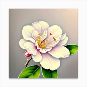 Apricot Blossom Canvas Print