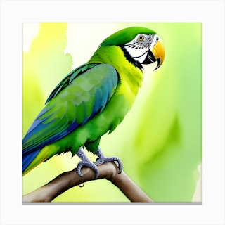 Kemry Macaw Parrot with Yellow and Blue Feathers on Canvas Photograph Ebern Designs Size: 8 H x 12 W x 1.25 D