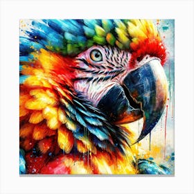 Watercolor Macaw #1 Canvas Print