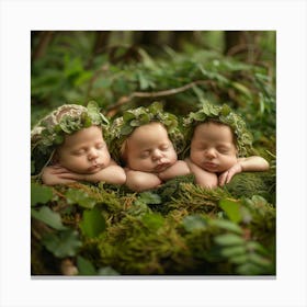Newborns In The Forest Canvas Print