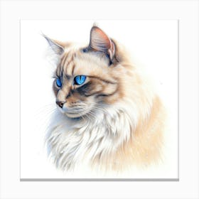Carmel Snow Cat Portrait Canvas Print