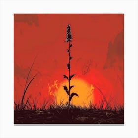 Sunset With A Plant Canvas Print