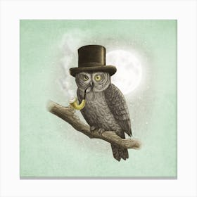 Night Owl Canvas Print