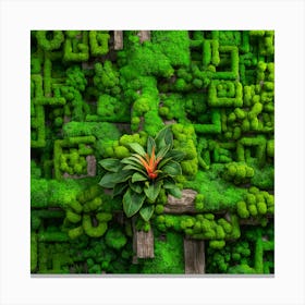 Moss Wall 2 Canvas Print