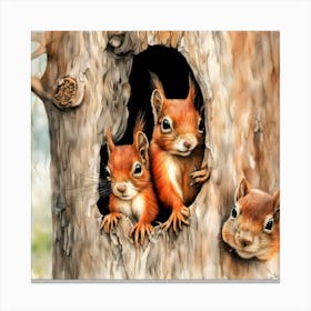 Red Squirrels Canvas Print