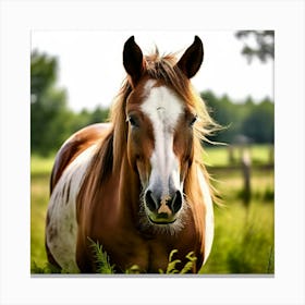 Horse Ranch Pony Animal Farm Nature Pet Farm Animal Summer Grass Head Mammal Green Mare (5) Canvas Print