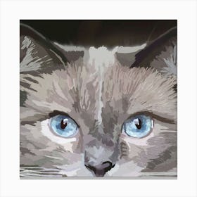 Cat With Blue Eyes Canvas Print