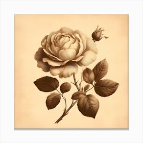 Vintage Rose Canvas Print