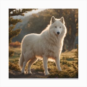 White Wolf Canvas Print