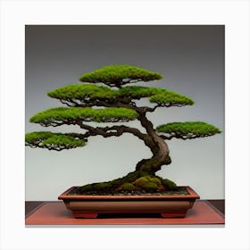 Bonsai Tree Canvas Print