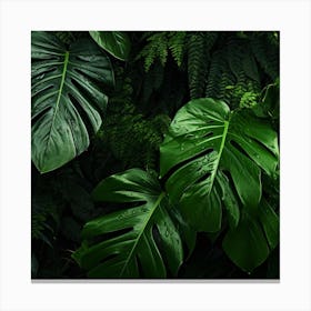 Tropical Jungle Background 1 Canvas Print