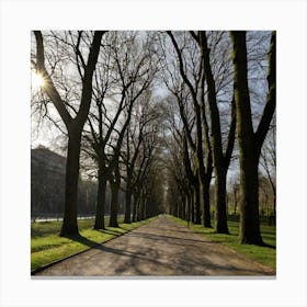 Bare Trees Metal Print Canvas Print