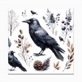 Ravens 3 Canvas Print