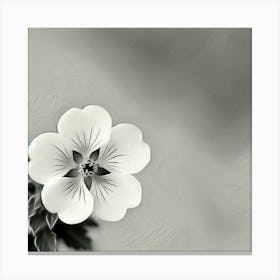 Geranium Canvas Print