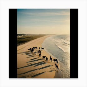 Horses On The Beach 2 Canvas Print