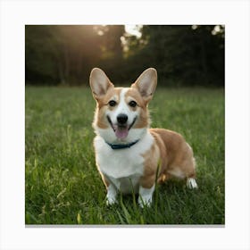 Cosplay Welsh Corgi En Raiponce Disney Photo A5hijkvdrr6wa1i9gcidiw 1fqoz01rvgjnuziox U Q Canvas Print